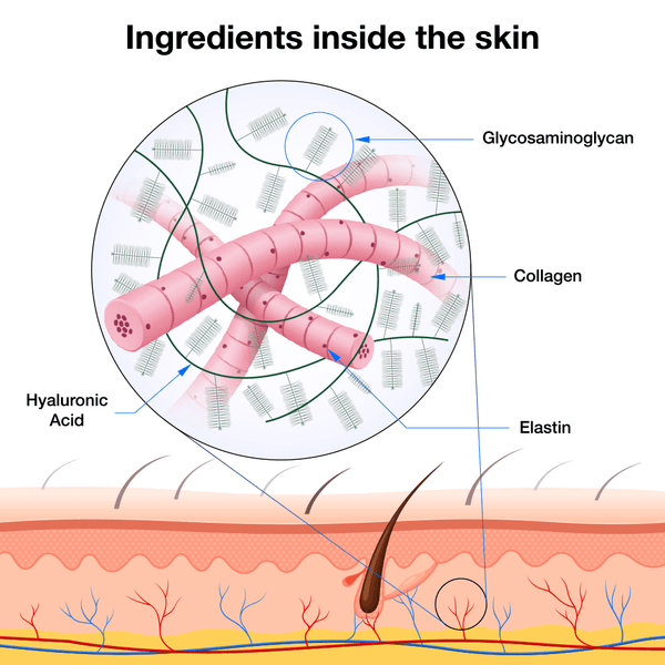 Ingredients inside the skin